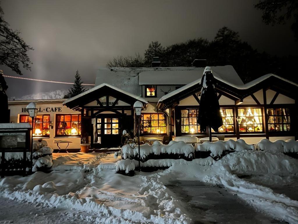 Hotel Zum Forsthaus Willingen  Dış mekan fotoğraf