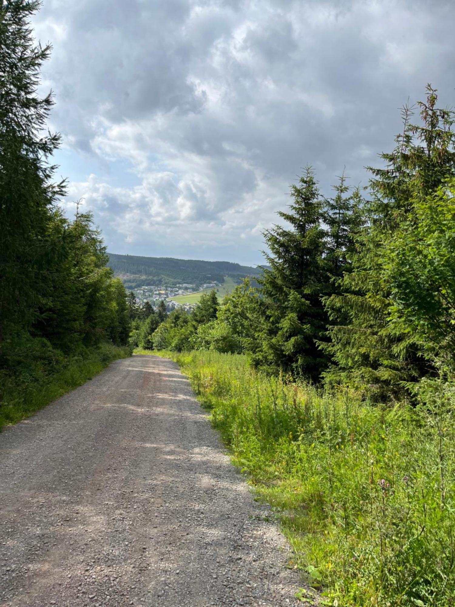 Hotel Zum Forsthaus Willingen  Dış mekan fotoğraf
