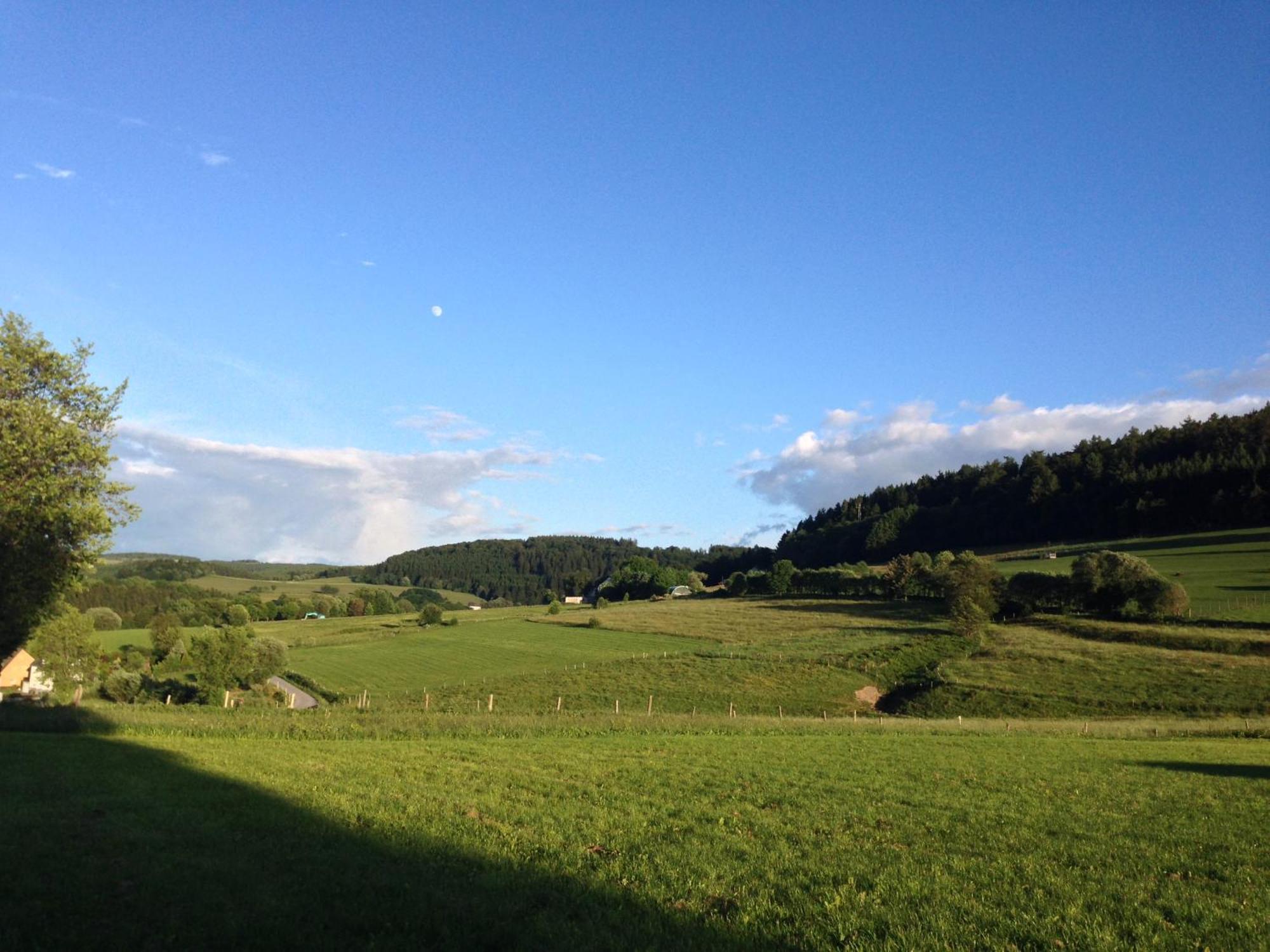 Hotel Zum Forsthaus Willingen  Dış mekan fotoğraf