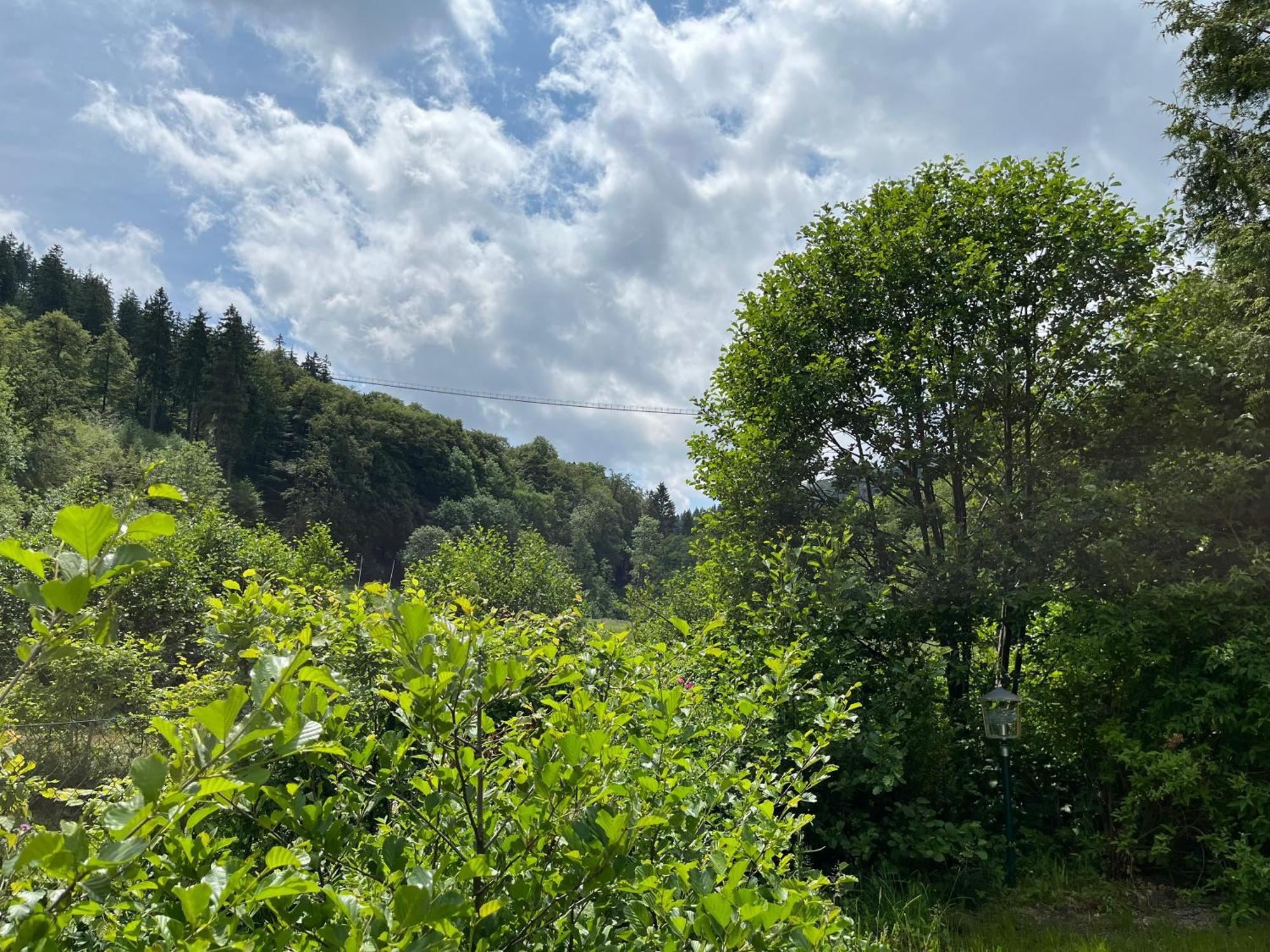 Hotel Zum Forsthaus Willingen  Dış mekan fotoğraf