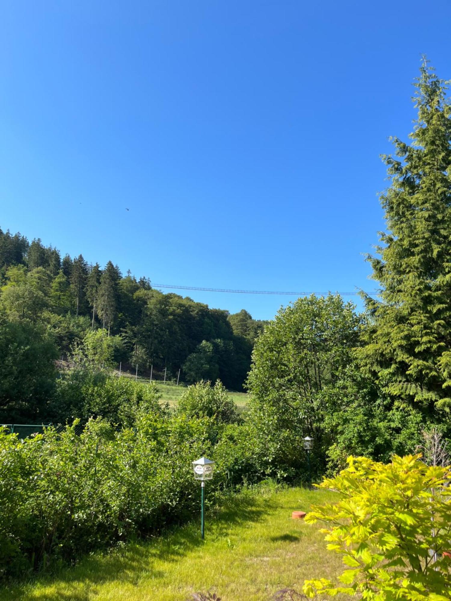 Hotel Zum Forsthaus Willingen  Dış mekan fotoğraf