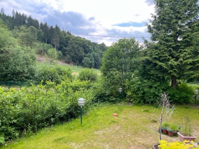 Hotel Zum Forsthaus Willingen  Dış mekan fotoğraf