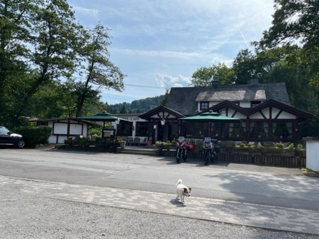 Hotel Zum Forsthaus Willingen  Dış mekan fotoğraf