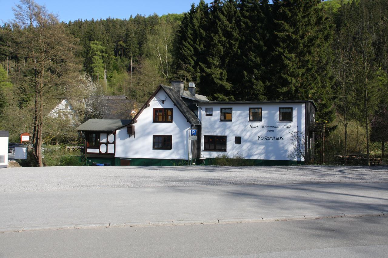 Hotel Zum Forsthaus Willingen  Dış mekan fotoğraf