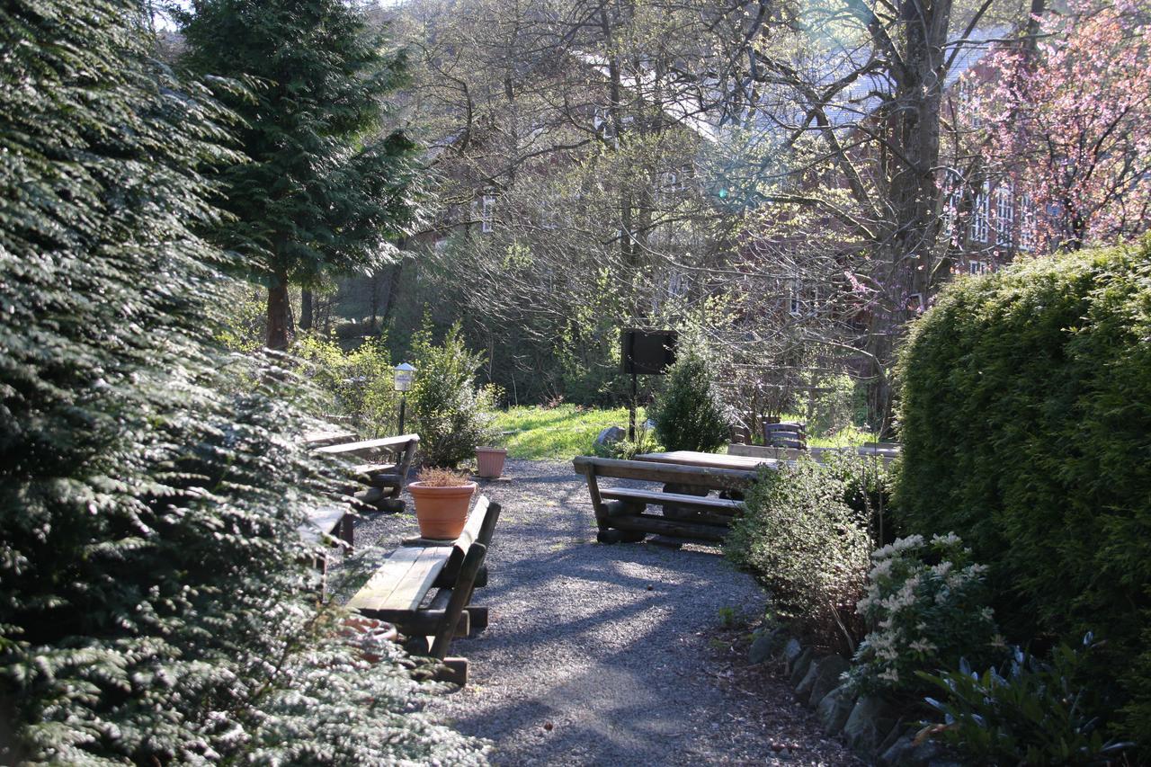 Hotel Zum Forsthaus Willingen  Dış mekan fotoğraf