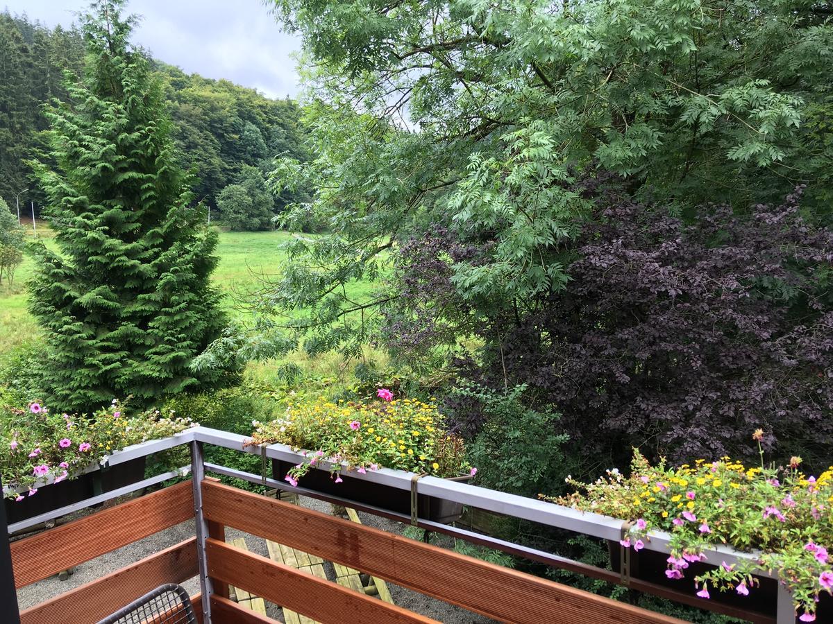 Hotel Zum Forsthaus Willingen  Dış mekan fotoğraf